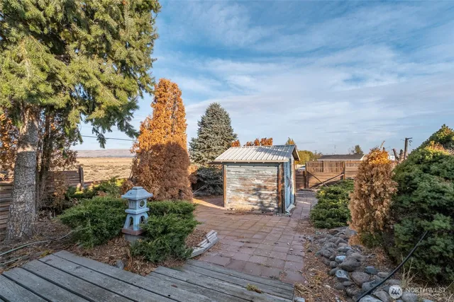 a view of a yard with an trees