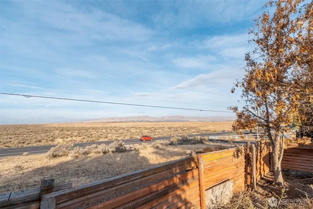 a view of backyard of house