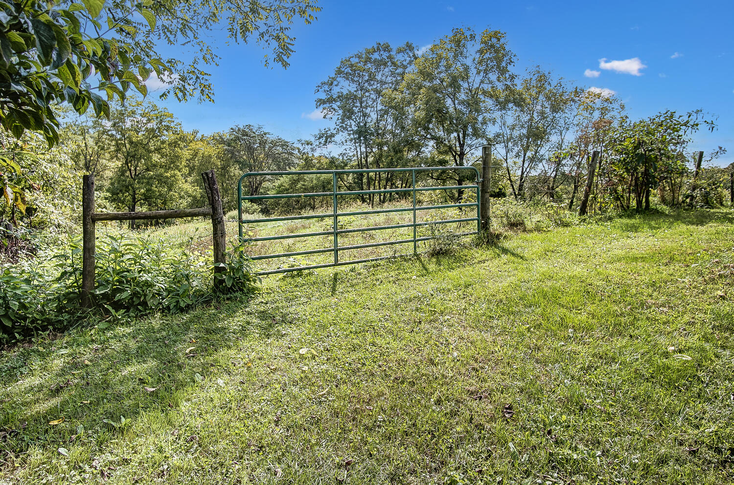 11832 Lees Road Alexandria, KY 41001 - Photo 40 of 50 Gallery Image 40