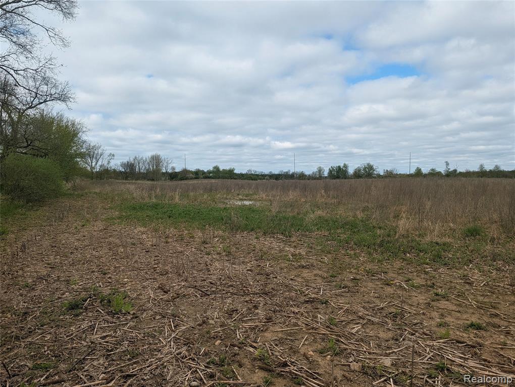 Parcel E Hogan Road Linden, MI 48451 - Photo 9 of 22
