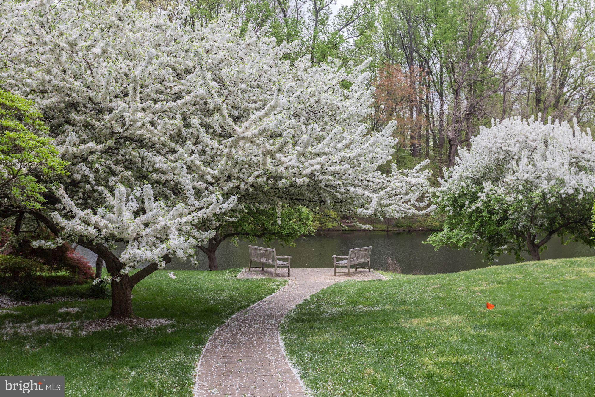 7276 Evans Mill Road McLean, VA 22101 - Photo 6 of 9