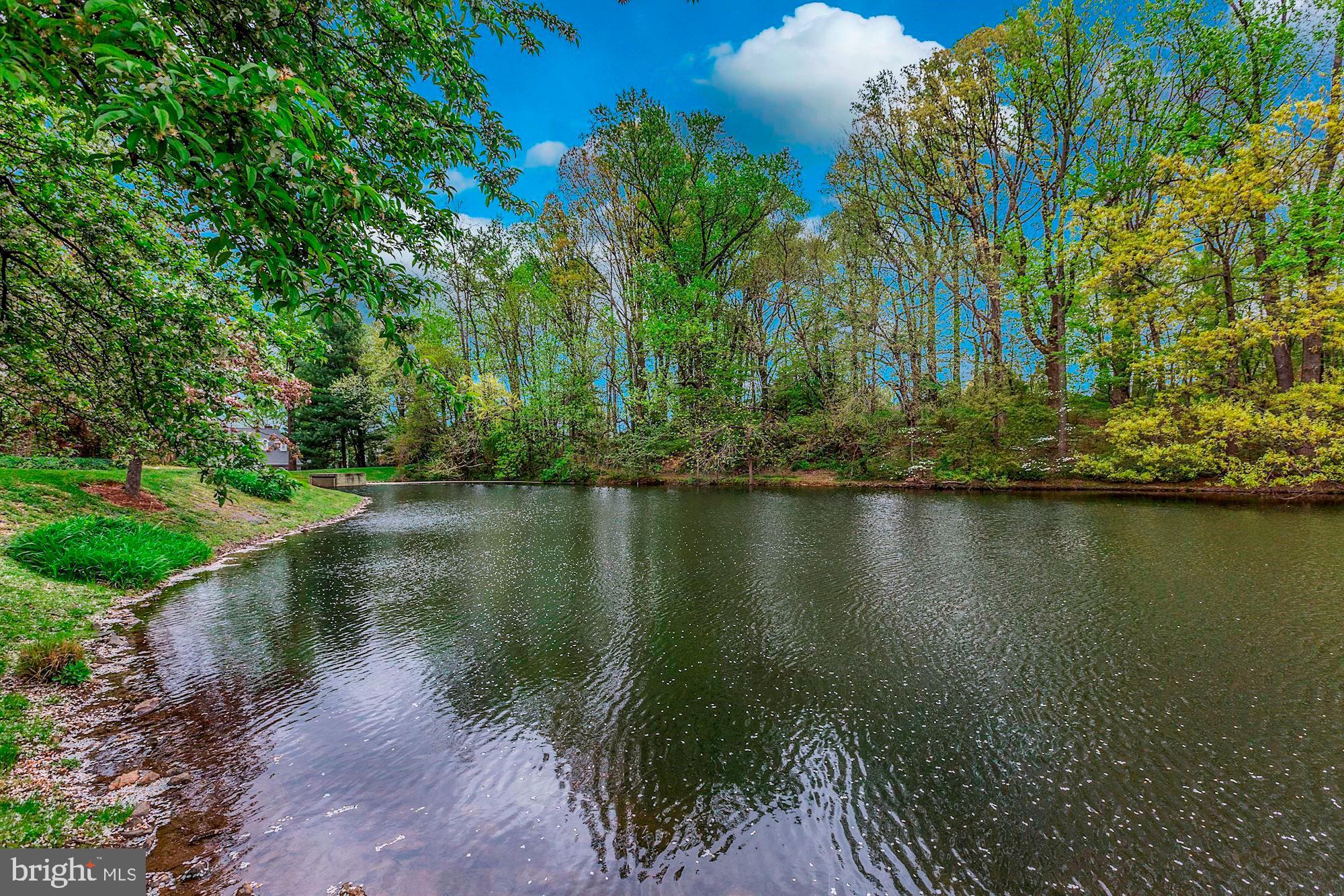 7276 Evans Mill Road McLean, VA 22101 - Photo 8 of 9