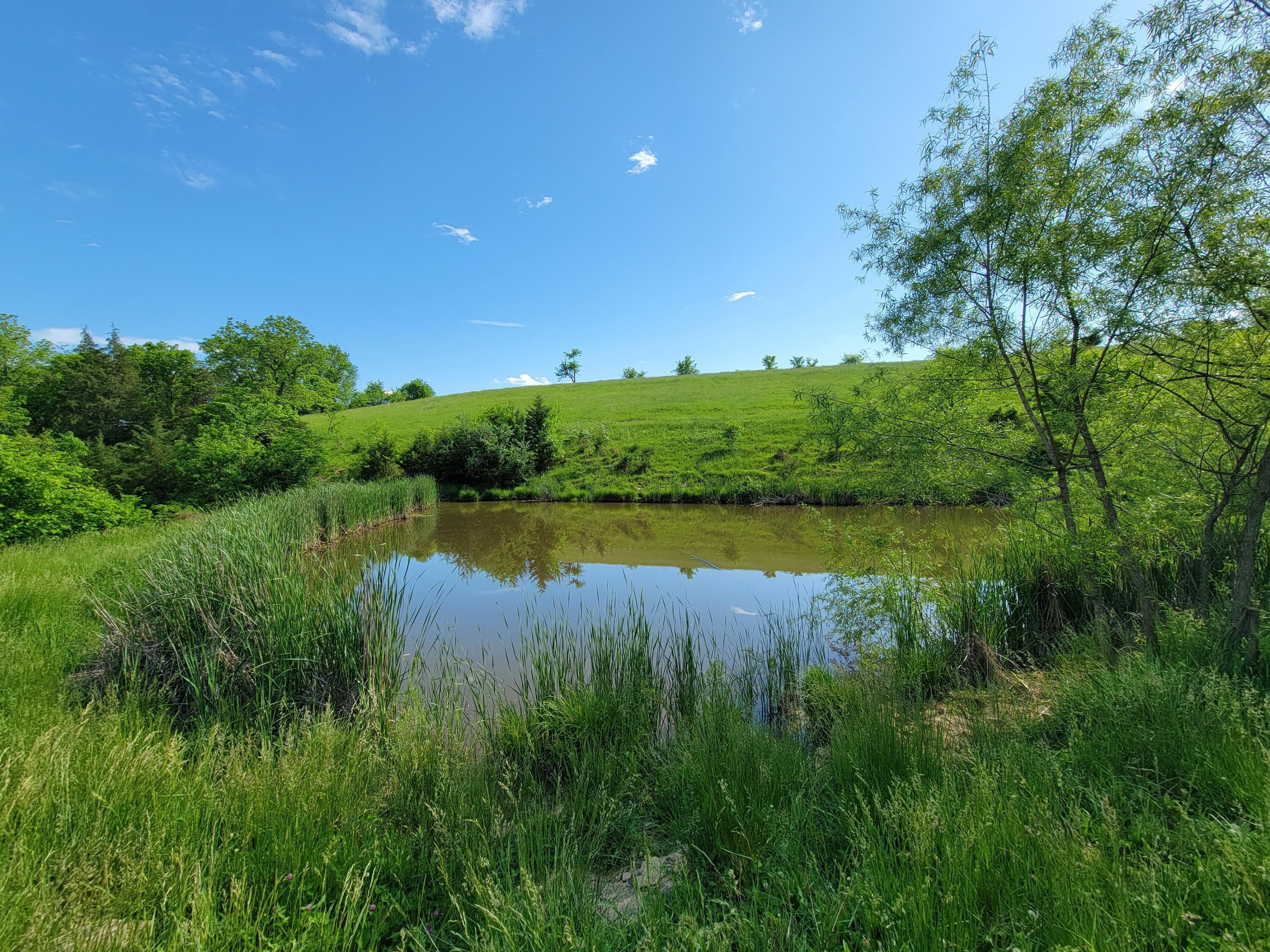 119-acres Keefer Road Corinth, KY 41010 - Photo 11 of 44 Gallery Image 11