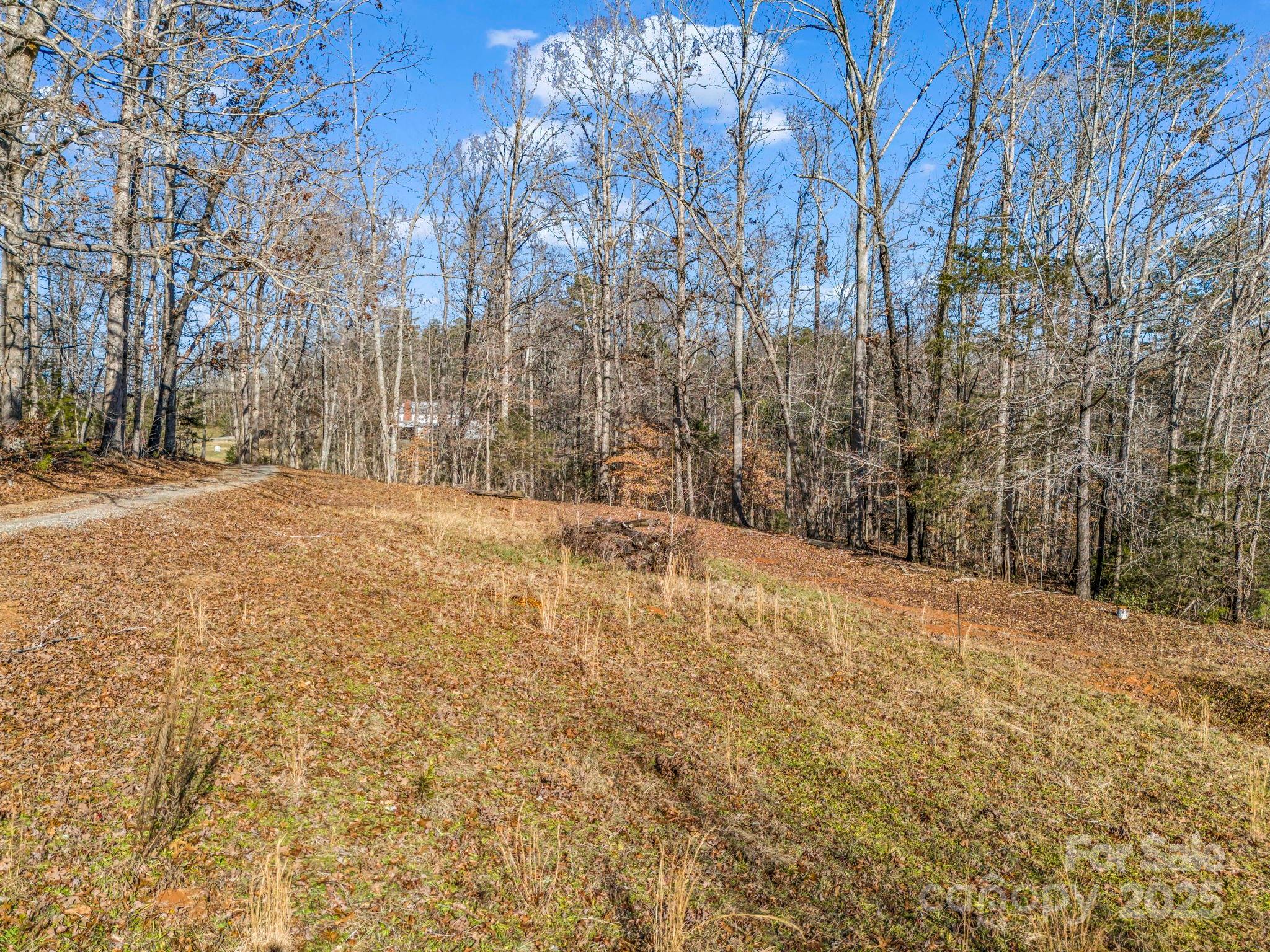 620 Smith Waldrop Road Columbus, NC 28722 - Photo 24 of 42 a view of empty space and tree