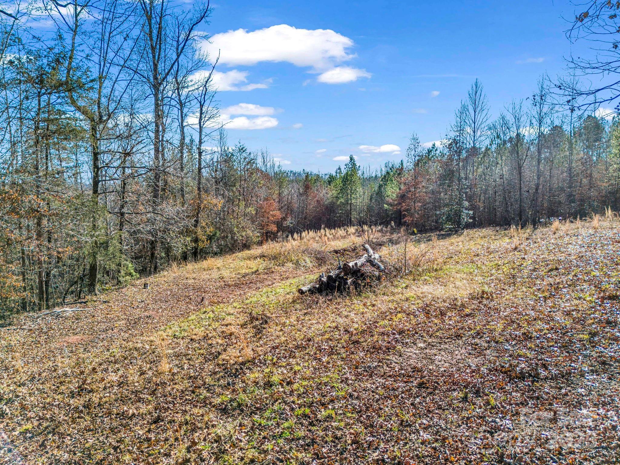 620 Smith Waldrop Road Columbus, NC 28722 - Photo 36 of 42 a view of a yard with a large trees