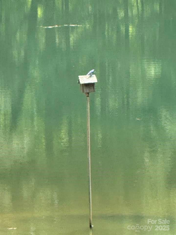 620 Smith Waldrop Road Columbus, NC 28722 - Photo 39 of 42 a bathroom with a shower