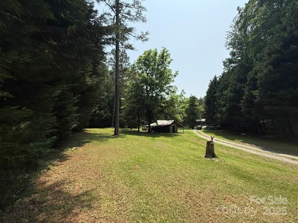 620 Smith Waldrop Road Columbus, NC 28722 - Photo 41 of 42 a swimming pool with lots of tress in the background