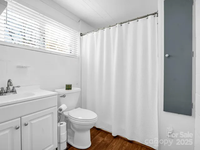 a bathroom with a toilet a sink and a curtain
