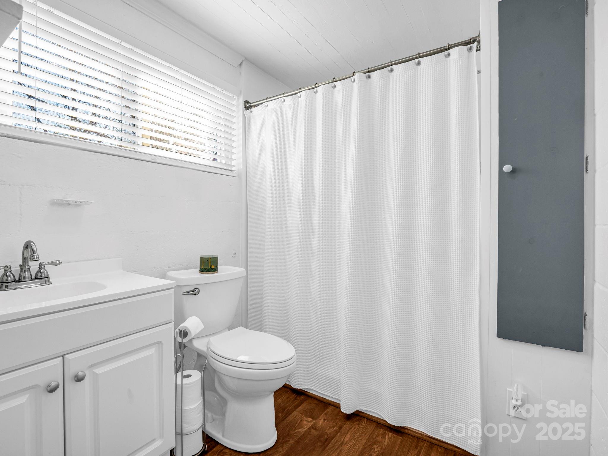 620 Smith Waldrop Road Columbus, NC 28722 - Photo 9 of 42 a bathroom with a toilet a sink and a curtain