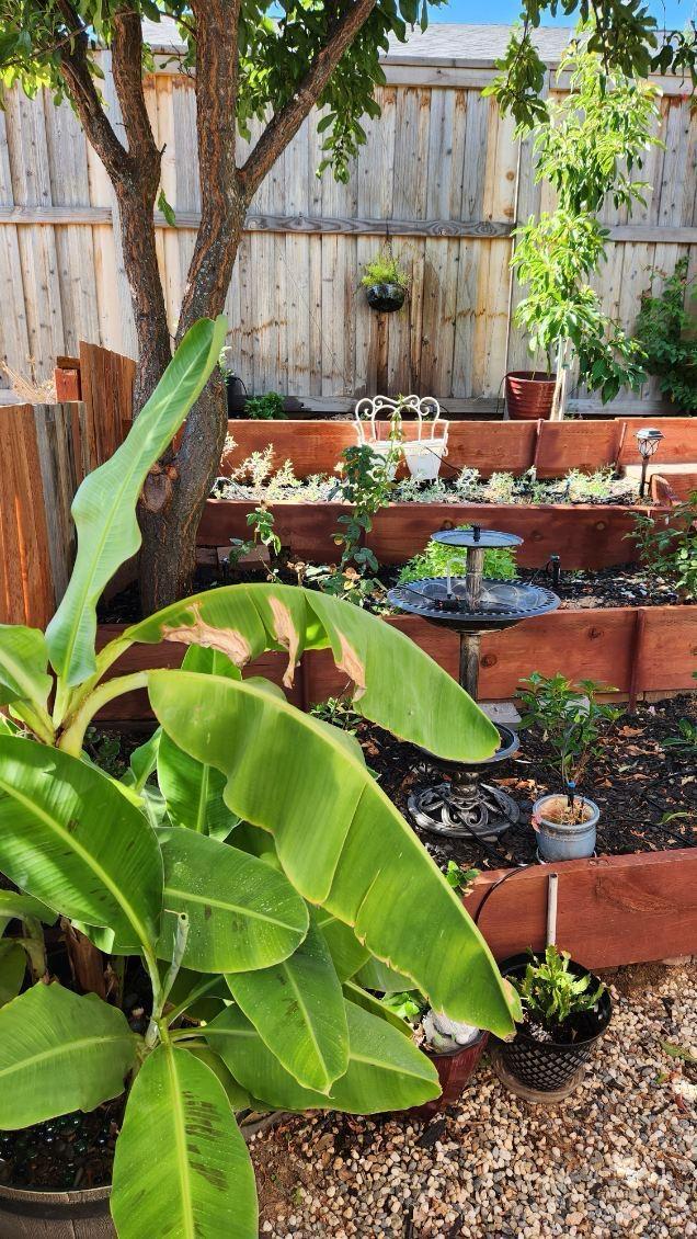 9060 Auburn Folsom Road, Unit 32 Granite Bay, CA 95746 - Photo 8 of 18 a view of a table and chairs in patio