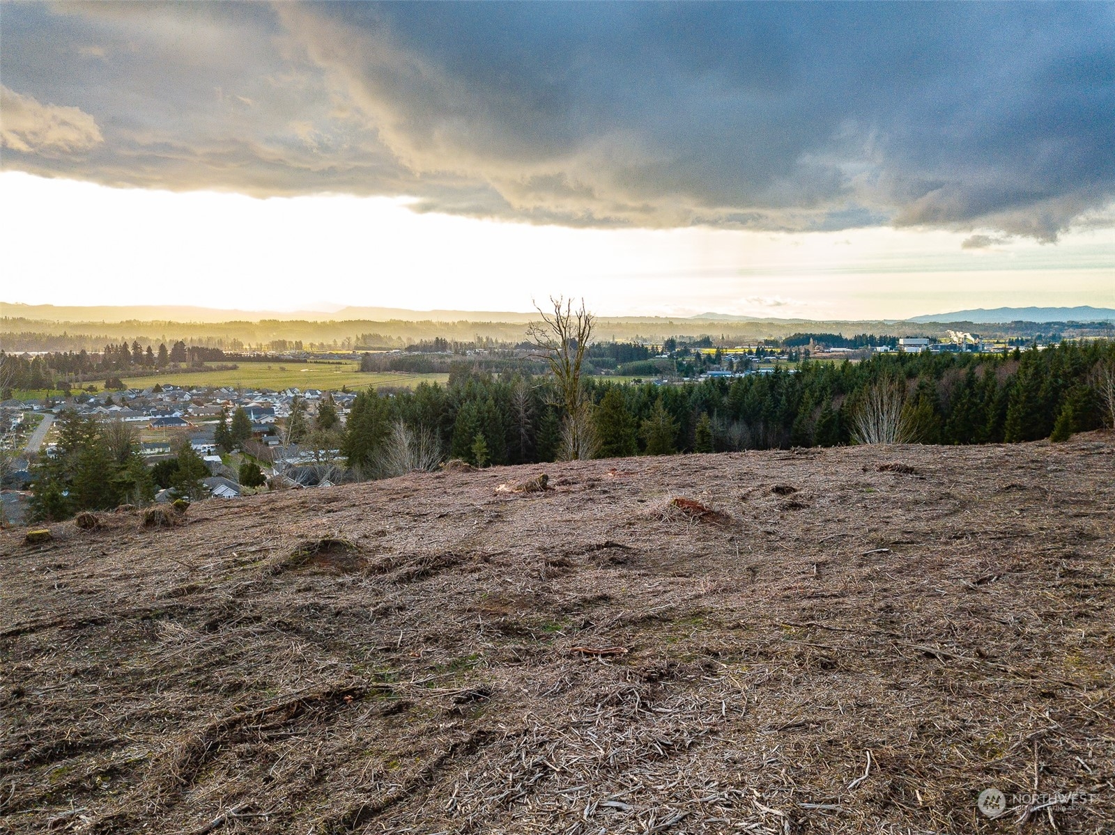0 Germaine Drive Chehalis, WA 98532 - Photo 12 of 37