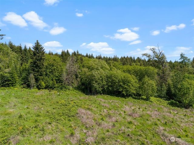 $795,000 | 0 Germaine Drive, Chehalis, WA 98532