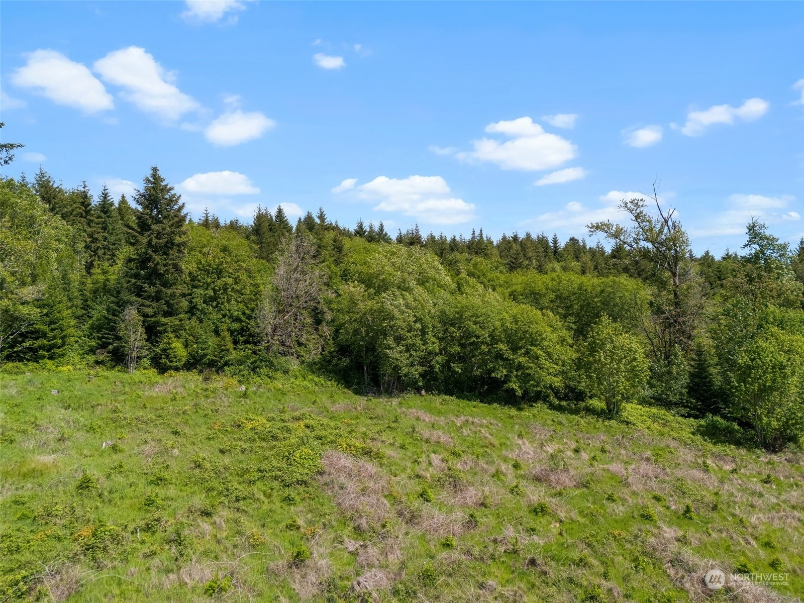 0 Germaine Drive Chehalis, WA 98532 - Photo 17 of 37