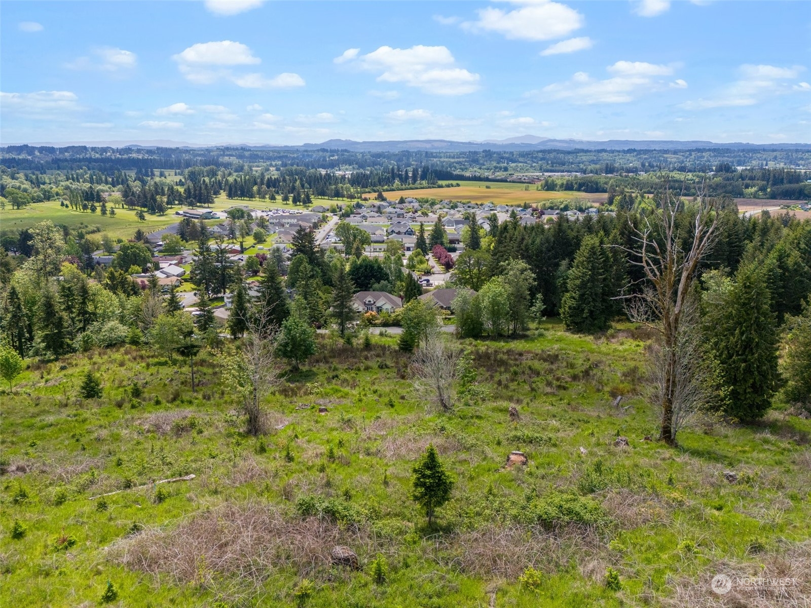 0 Germaine Drive Chehalis, WA 98532 - Photo 18 of 37