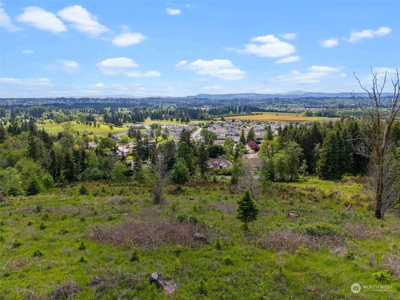 0 Germaine Drive Chehalis, WA 98532 - Photo 19 of 37