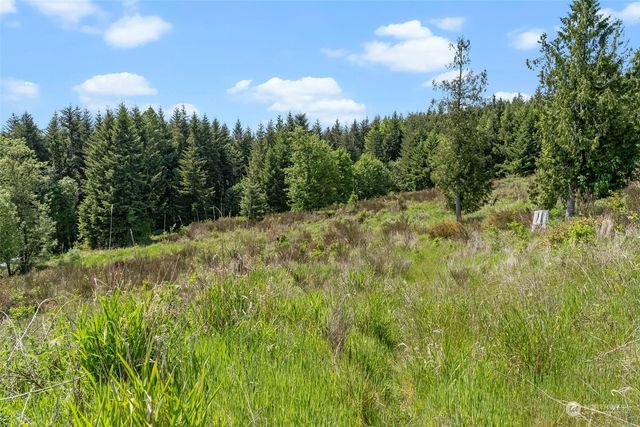 $795,000 | 0 Germaine Drive, Chehalis, WA 98532