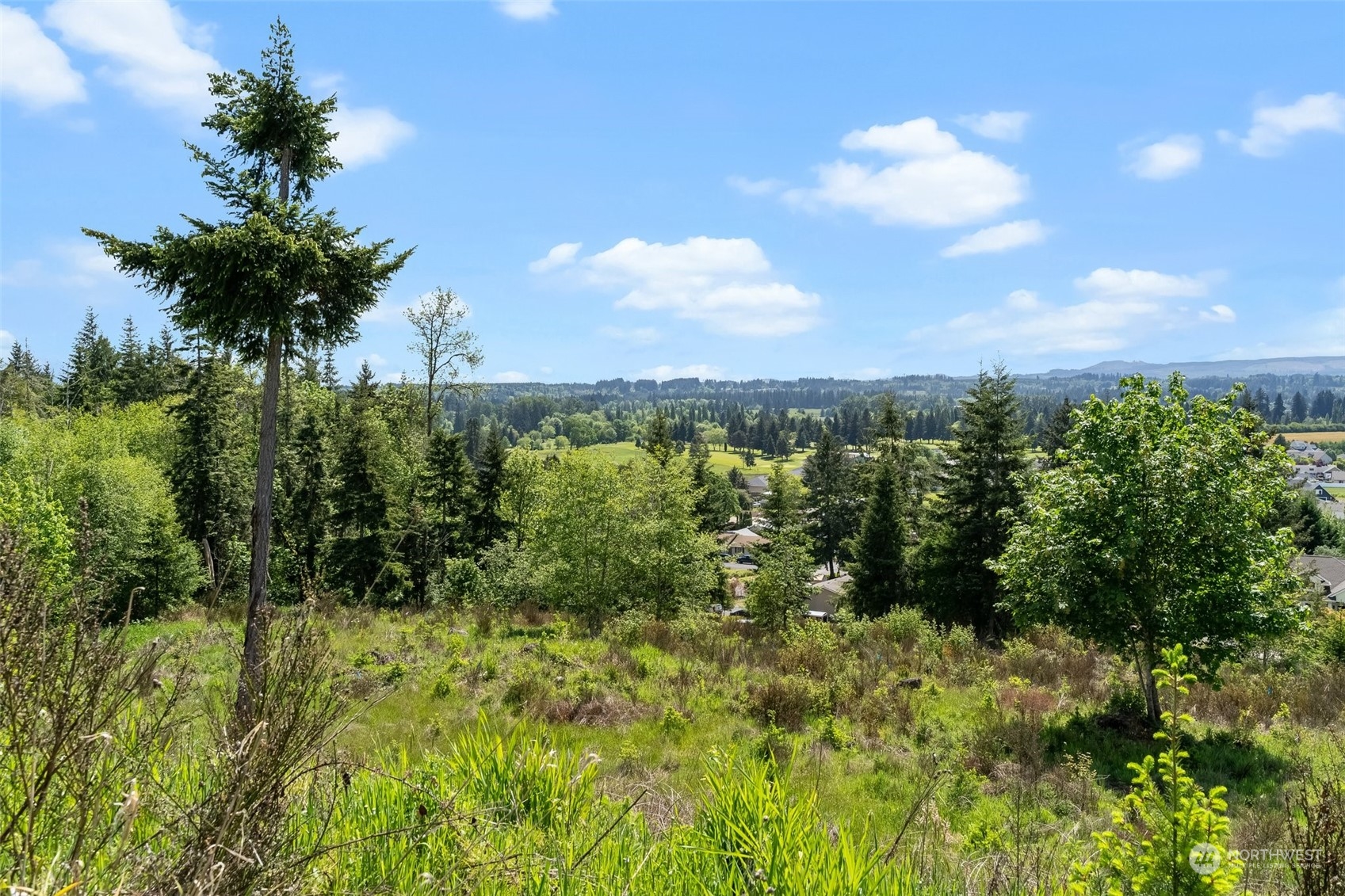 0 Germaine Drive Chehalis, WA 98532 - Photo 31 of 37