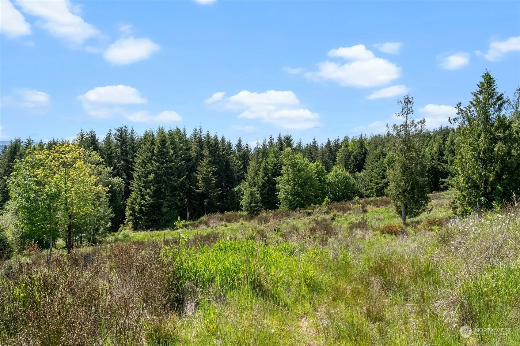 0 Germaine Drive Chehalis, WA 98532 - Photo 33 of 37