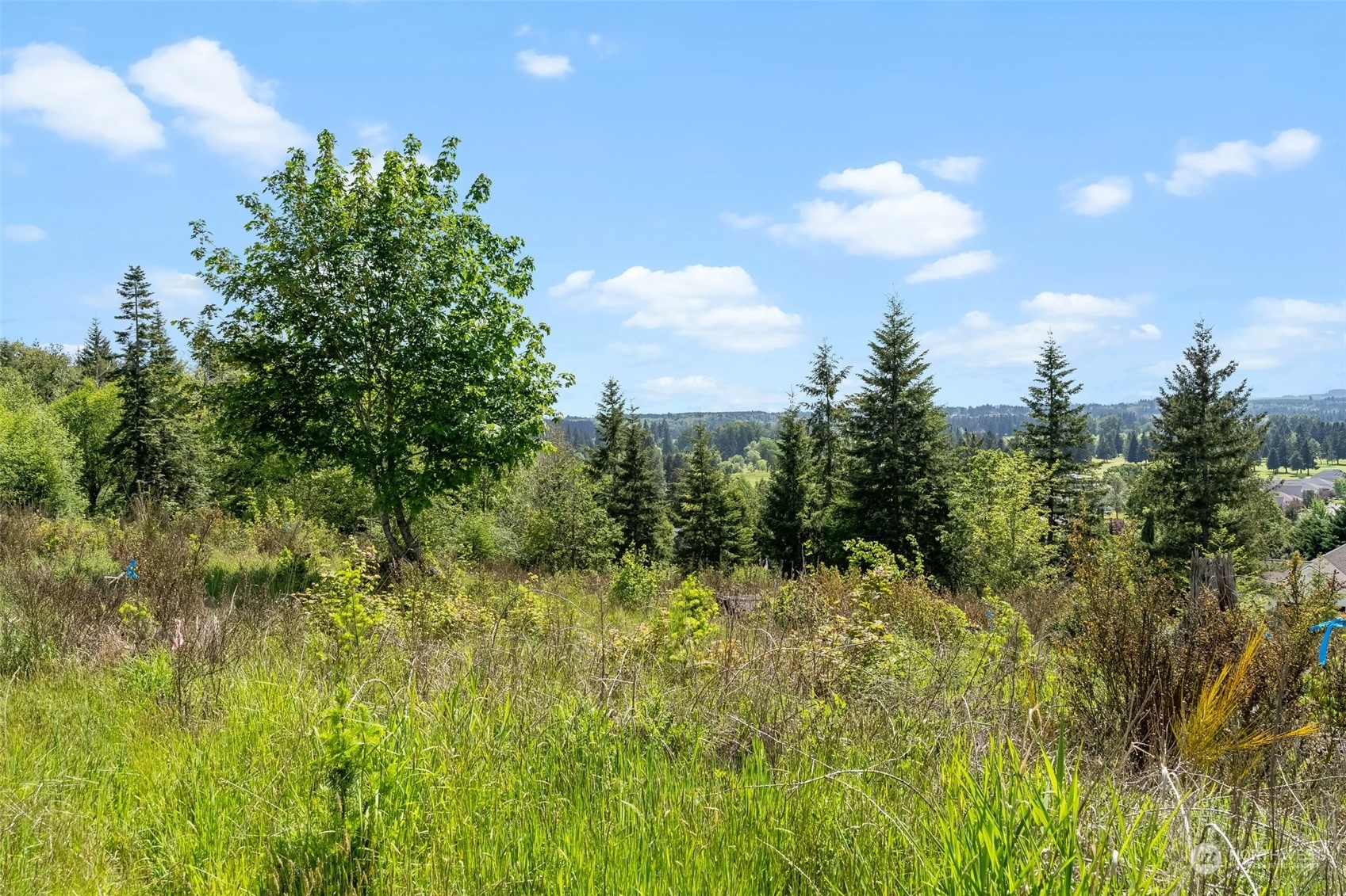 0 Germaine Drive Chehalis, WA 98532 - Photo 34 of 37