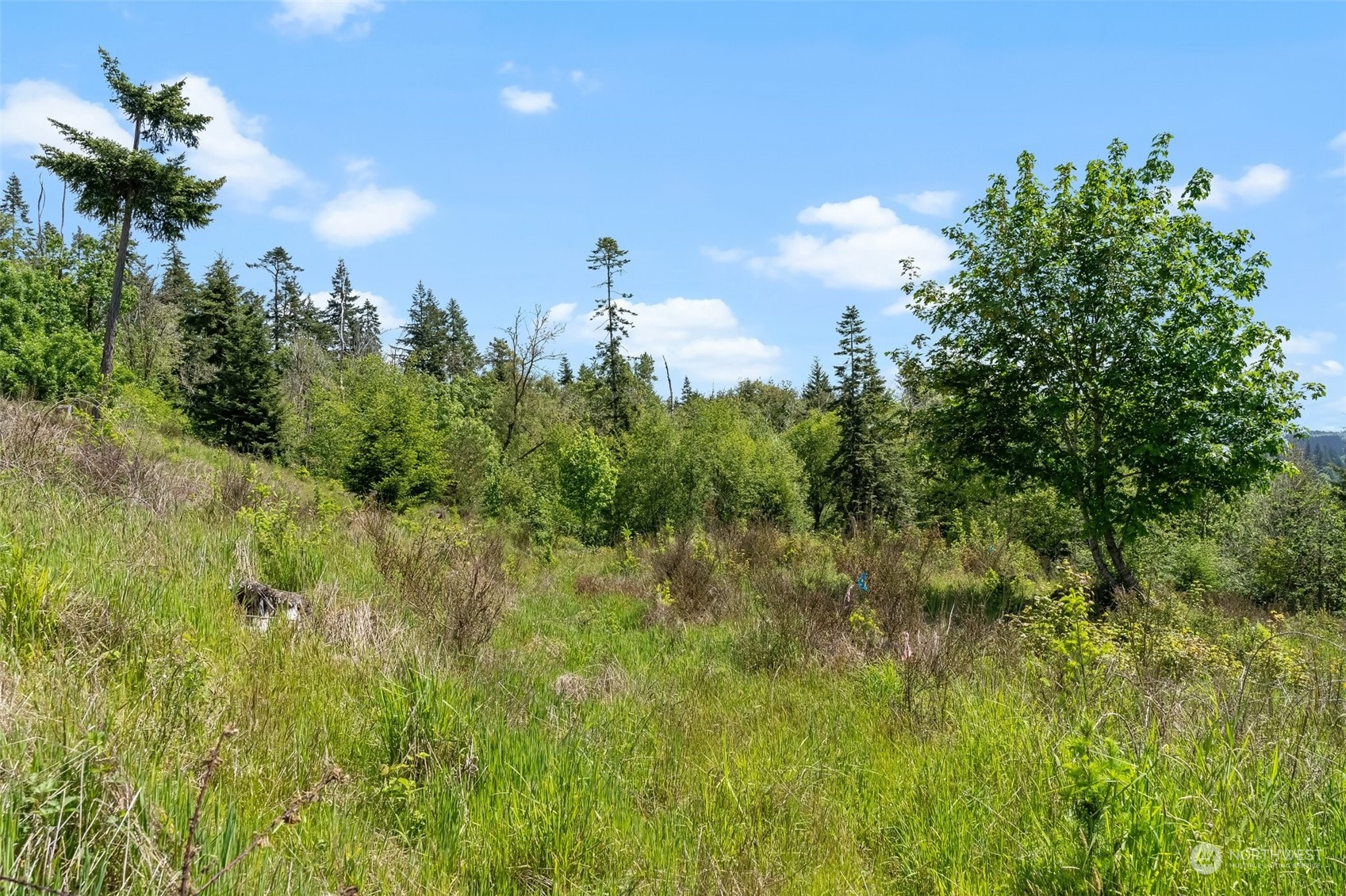 0 Germaine Drive Chehalis, WA 98532 - Photo 35 of 37