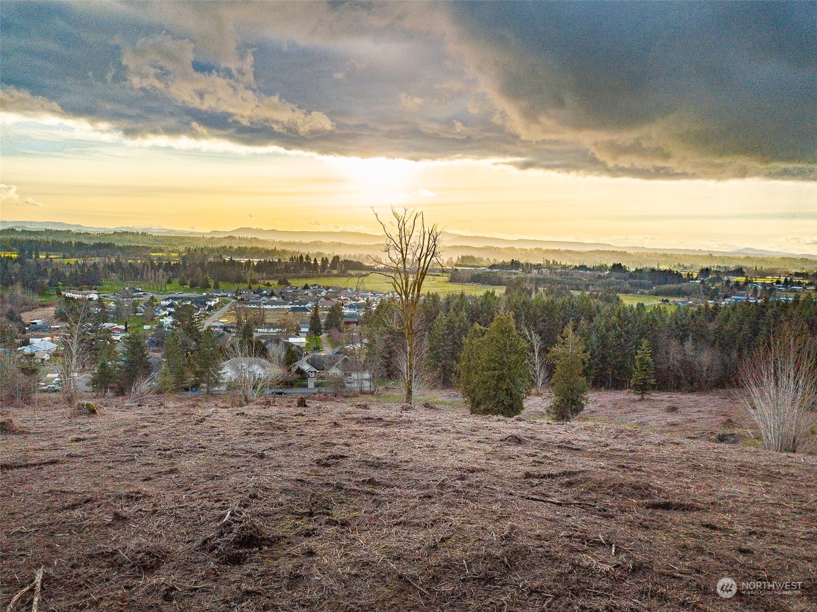 0 Germaine Drive Chehalis, WA 98532 - Photo 10 of 37