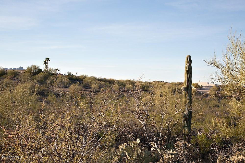 5053 North Blue Bonnet Road Tucson, AZ 85745 - Photo 41 of 47 Gallery Image 41