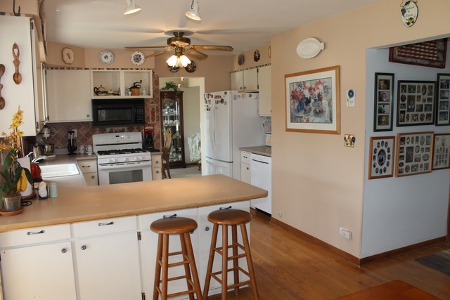 374 Northgate Road Lindenhurst, IL 60046 - Photo 6 of 22