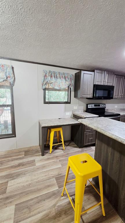 45 Bravo Road Pottsboro, TX 75076 - Photo 4 of 29 Kitchen