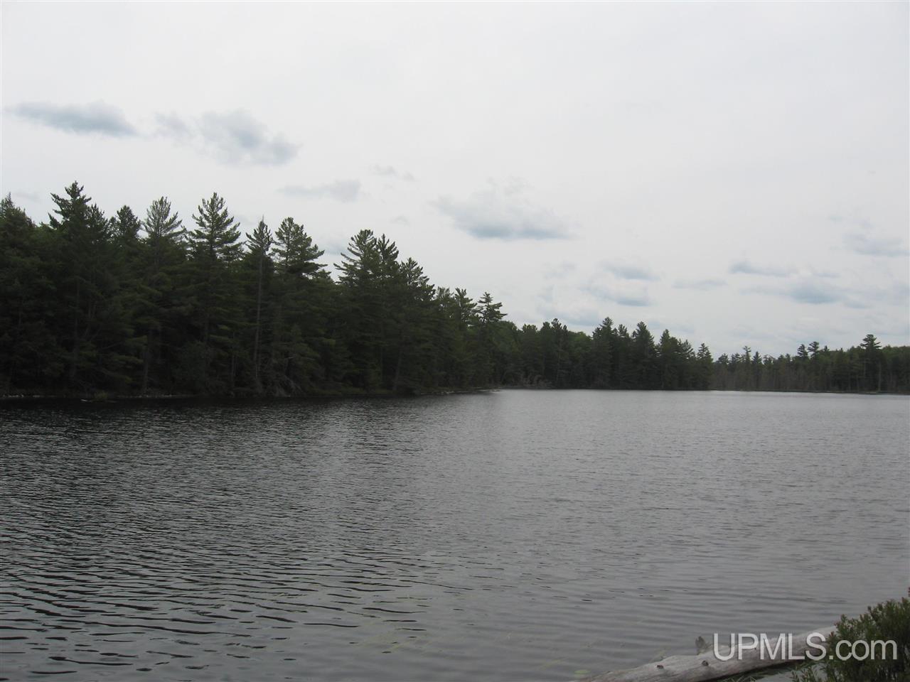 0 Rhody Cr, Unit CARTER LAKE RDP Seney, MI 49883 - Photo 22 of 36