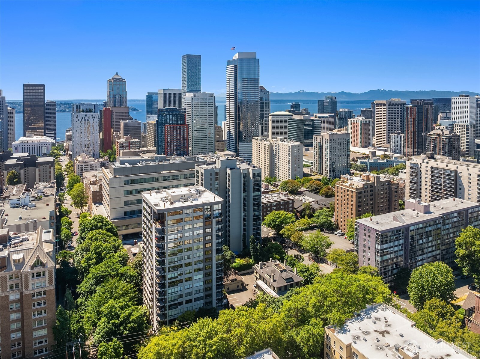 1120 Spring Street, Unit 602 Seattle, WA 98104 - Photo 37 of 38
