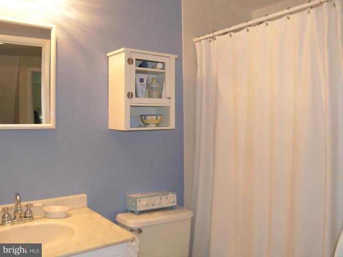 11310 Fieldstone Lane Reston, VA 20191 - Photo 24 of 30 Bath #2