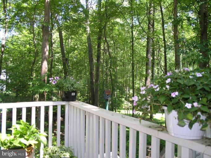 11310 Fieldstone Lane Reston, VA 20191 - Photo 28 of 30 Deck - View from