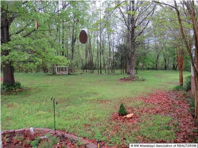 814 Wakefield Road Coldwater, MS 38618 - Photo 3 of 12 Additional Photo