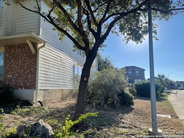 a view of a backyard