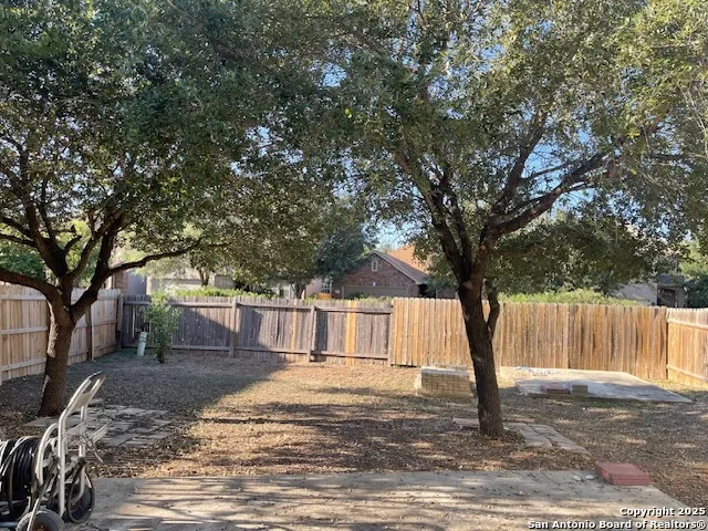 a view of a yard with large tree