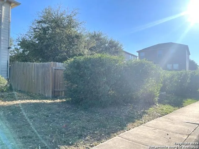 a view of a backyard