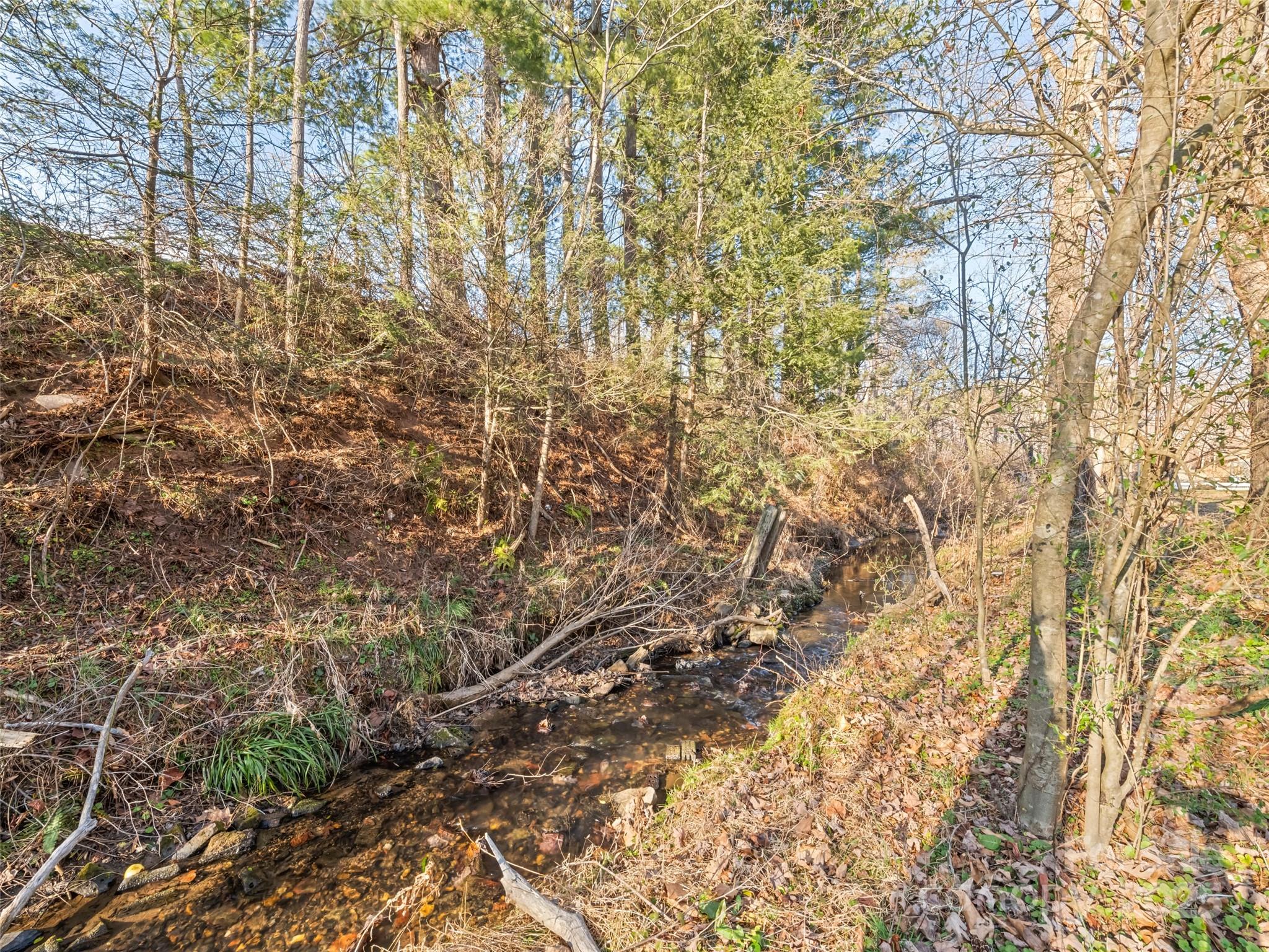 140 Oakdale Road Waynesville, NC 28786 - Photo 5 of 30 a view of a yard with a tree