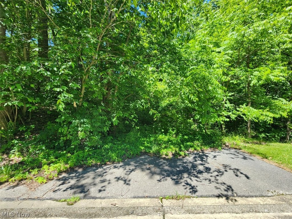 9610 Robinson Road Chardon, OH 44024 - Photo 2 of 4