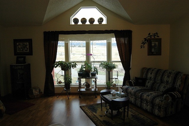 167 Homestead Road Norwood, CO 81423 - Photo 7 of 7 Additional Photo
