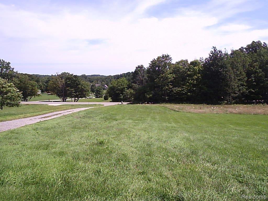 1728 County Farm Road Howell, MI 48843 - Photo 15 of 22 Front Yard