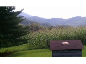 271 Bill Nave Loop Elizabethton, TN 37643 - Photo 20 of 24 Mountain are Lovely