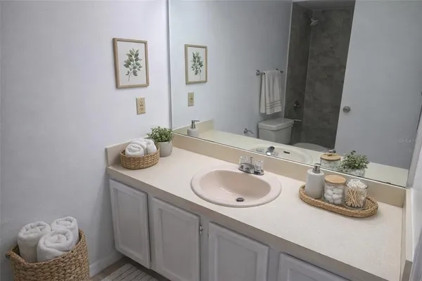 a living room with furniture and a couch