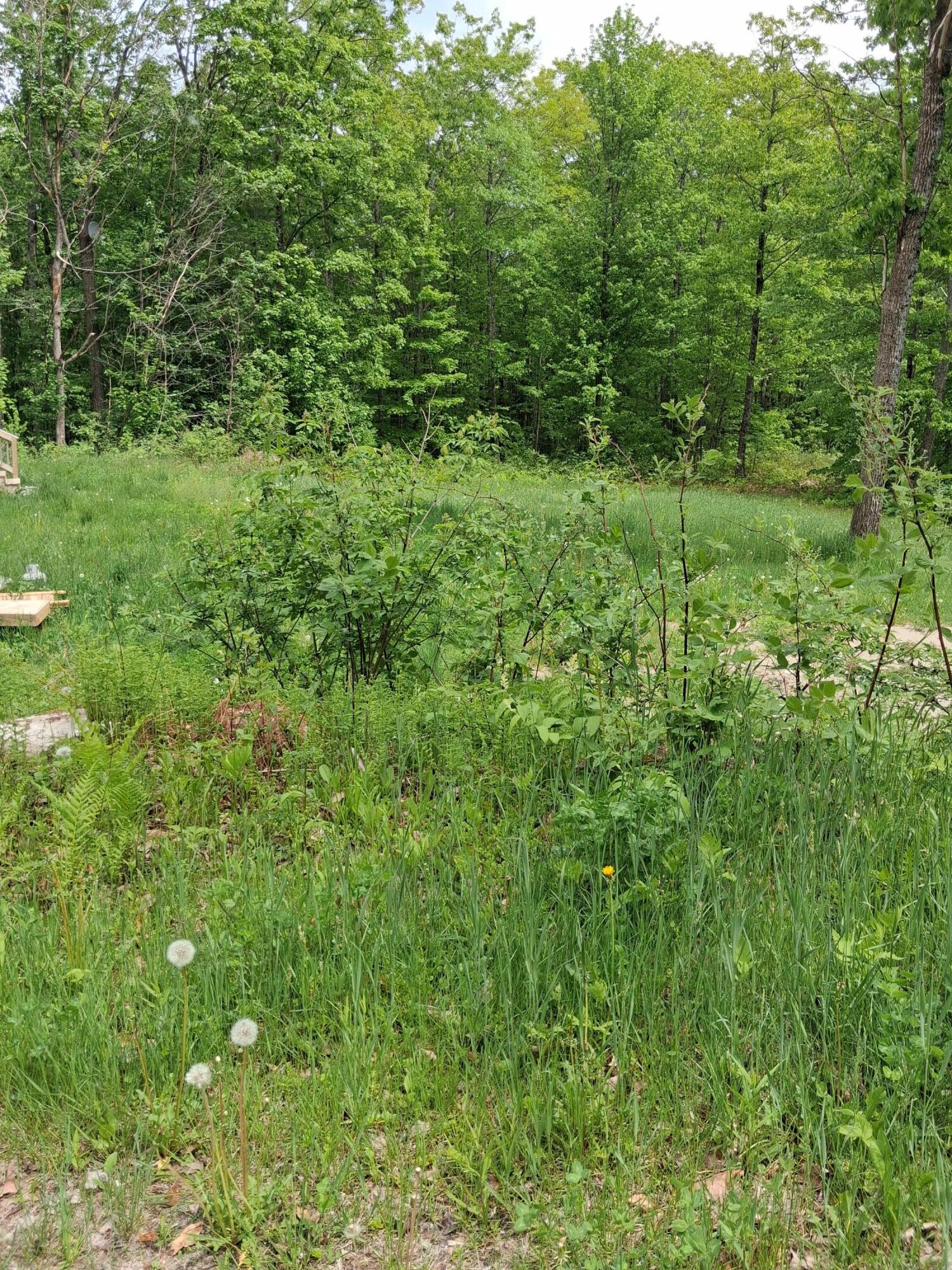 209 Adams Road Chesterville, ME 04938 - Photo 9 of 9 Land