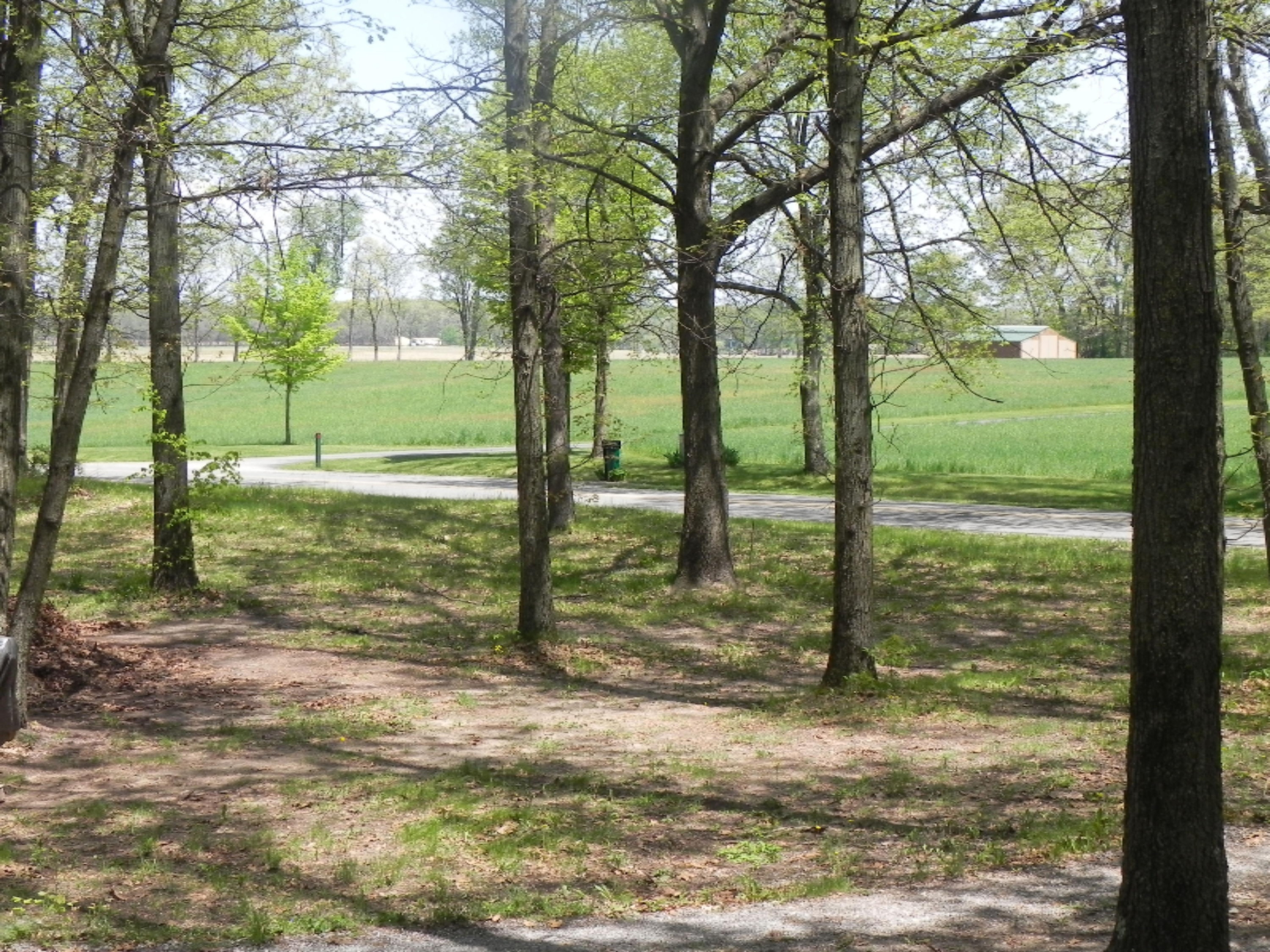 50059 Old Territorial Road Decatur, MI 49045 - Photo 21 of 22 DSCN5054