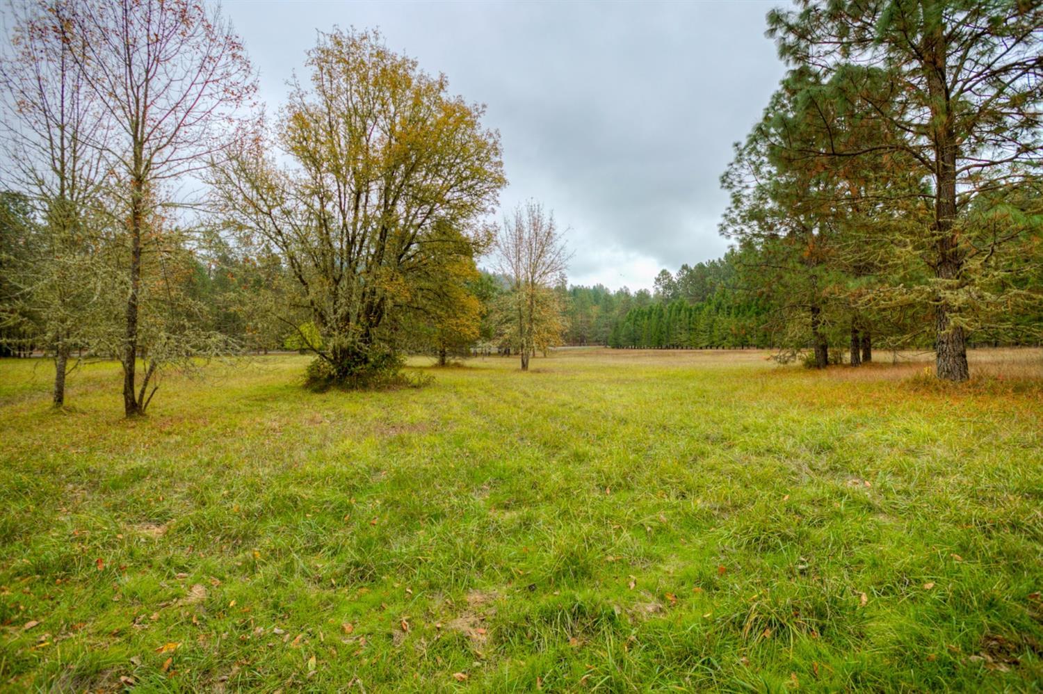11905 Lower River Road Grants Pass, OR 97526 - Photo 31 of 35 Additional Photo