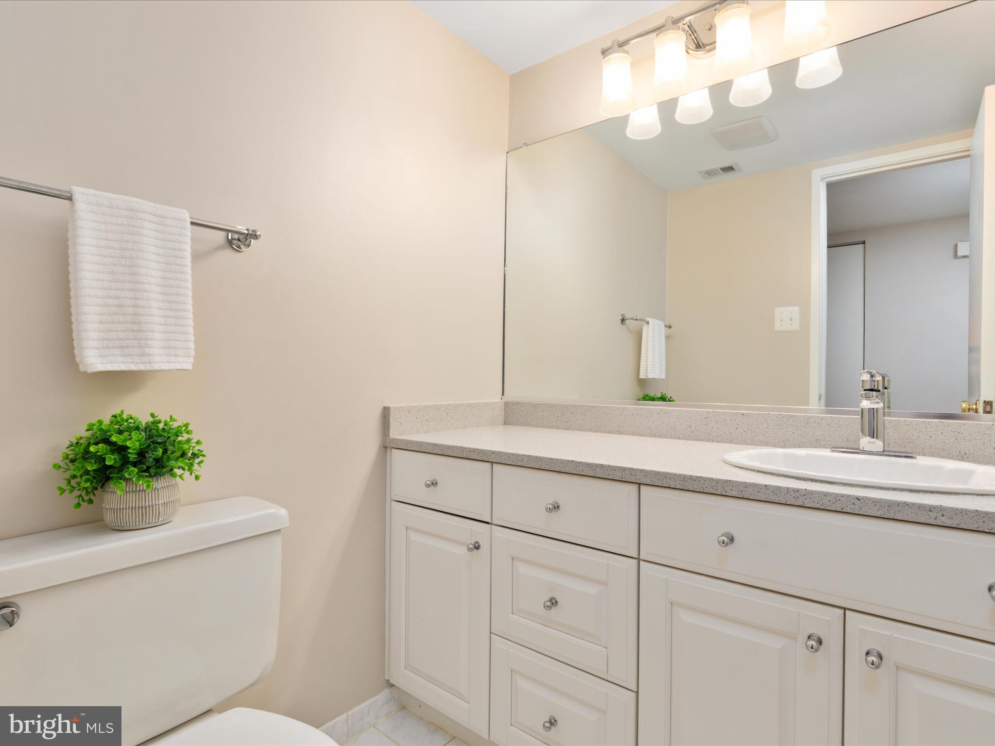 11726 Indian Ridge Road Reston, VA 20191 - Photo 15 of 67 a bathroom with a sink and a mirror