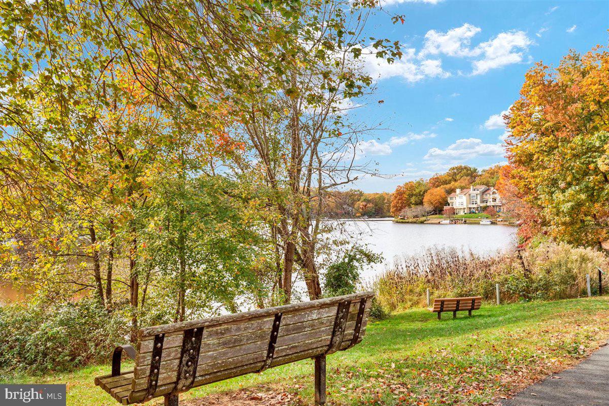 11726 Indian Ridge Road Reston, VA 20191 - Photo 40 of 67 a view of a garden with lake