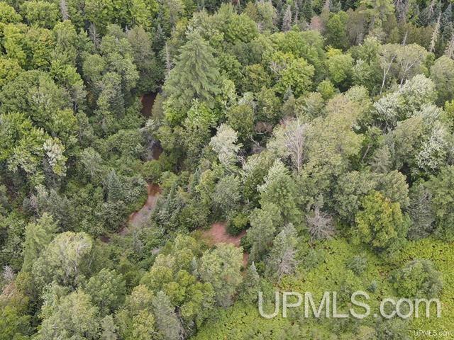 9692 North Laird Road Pelkie, MI 49958 - Photo 36 of 44