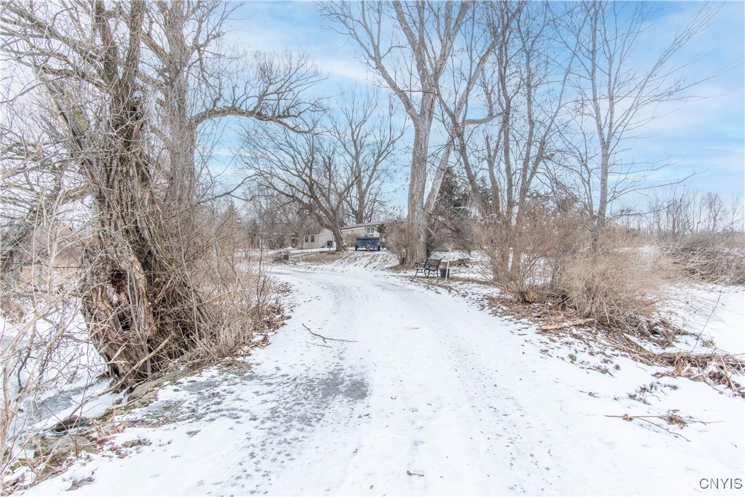 36389 Hagen Road Orleans, NY 13656 - Photo 4 of 20