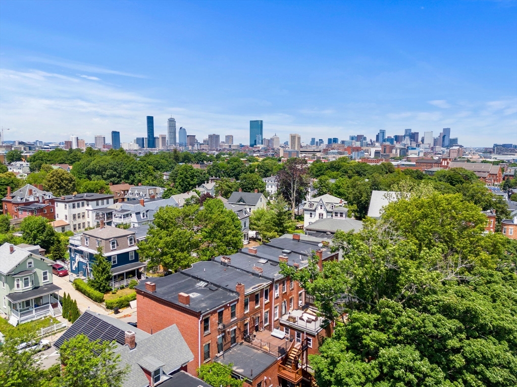 16 Perrin Street Boston, MA 02119 - Photo 30 of 37